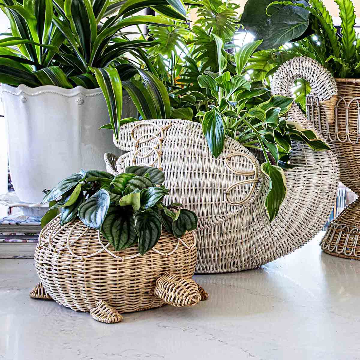 Provence Rattan Turtle Bowl - Whitewash - Image 3